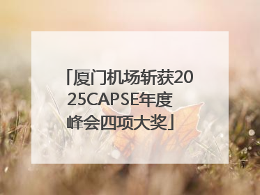 厦门机场斩获2025CAPSE年度峰会四项大奖