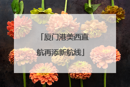 厦门港美西直航再添新航线