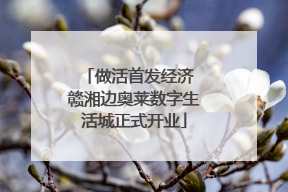 做活首发经济 赣湘边奥莱数字生活城正式开业