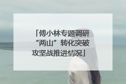 傅小林专题调研“两山”转化突破攻坚战推进情况