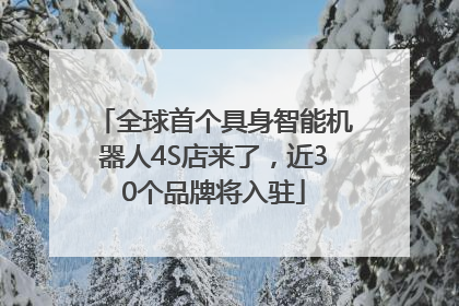 全球首个具身智能机器人4S店来了，近30个品牌将入驻