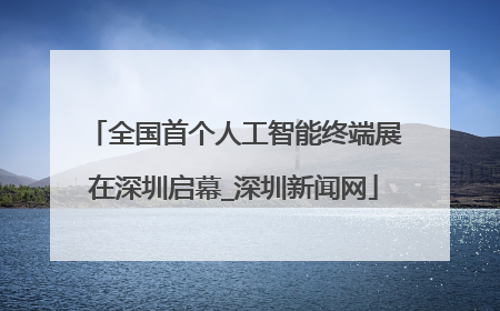 全国首个人工智能终端展在深圳启幕_深圳新闻网