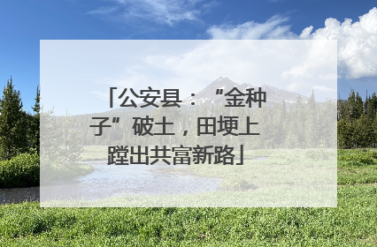 公安县：“金种子”破土，田埂上蹚出共富新路