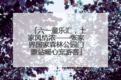 六一童乐汇，土家风情浓——张家界国家森林公园门票站暖心宠游客