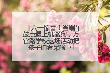 六一惊喜！当端午鼓点遇上机器狗，万官路学校这场活动把孩子们看呆啦→