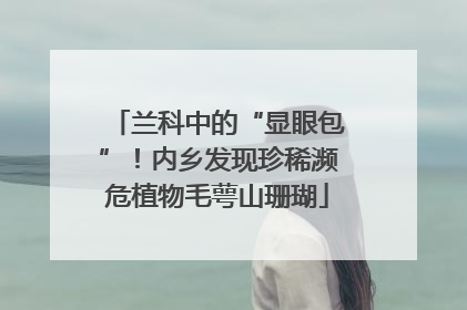 兰科中的“显眼包”！内乡发现珍稀濒危植物毛萼山珊瑚