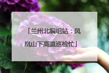 兰州北编组站：凤凰山下高温巡检忙