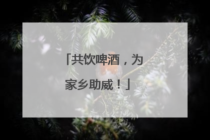 共饮啤酒，为家乡助威！