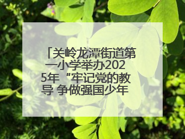 关岭龙潭街道第一小学举办2025年“牢记党的教导 争做强国少年”“六一”文艺汇演活动