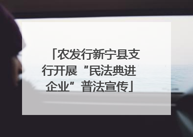 农发行新宁县支行开展“民法典进企业”普法宣传