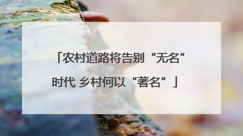 农村道路将告别“无名”时代 乡村何以“著名”