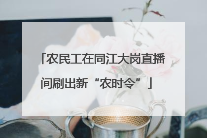 农民工在同江大岗直播间刷出新“农时令”