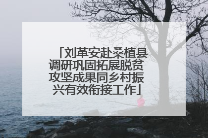 刘革安赴桑植县调研巩固拓展脱贫攻坚成果同乡村振兴有效衔接工作