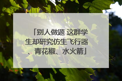 别人做题 这群学生却研究仿生飞行器、青花椒、水火箭