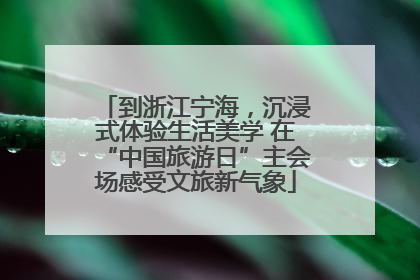 到浙江宁海，沉浸式体验生活美学 在“中国旅游日”主会场感受文旅新气象