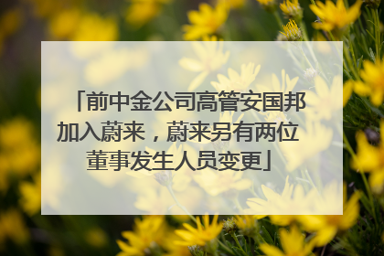前中金公司高管安国邦加入蔚来，蔚来另有两位董事发生人员变更