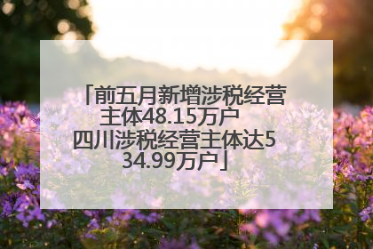 前五月新增涉税经营主体48.15万户 四川涉税经营主体达534.99万户