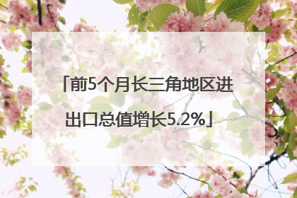 前5个月长三角地区进出口总值增长5.2%