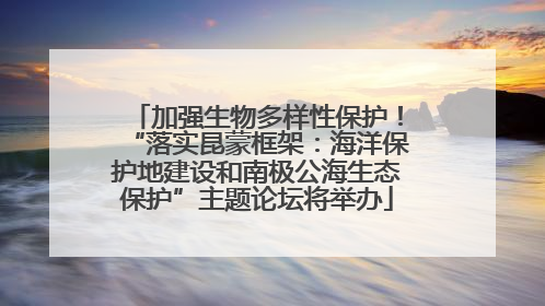 加强生物多样性保护！“落实昆蒙框架：海洋保护地建设和南极公海生态保护”主题论坛将举办