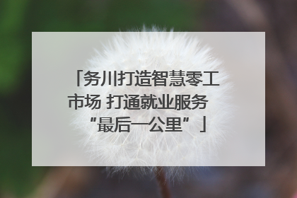 务川打造智慧零工市场 打通就业服务“最后一公里”