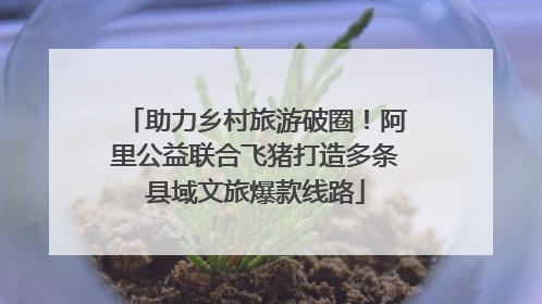 助力乡村旅游破圈！阿里公益联合飞猪打造多条县域文旅爆款线路