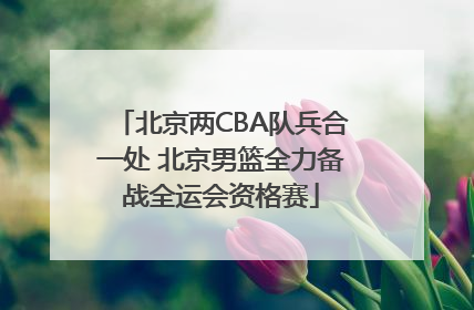 北京两CBA队兵合一处 北京男篮全力备战全运会资格赛