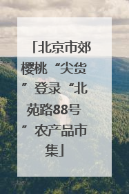 北京市郊樱桃“尖货”登录“北苑路88号”农产品市集
