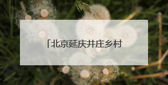 北京延庆井庄乡村奥莱商街端午开街 一站式逛吃游购