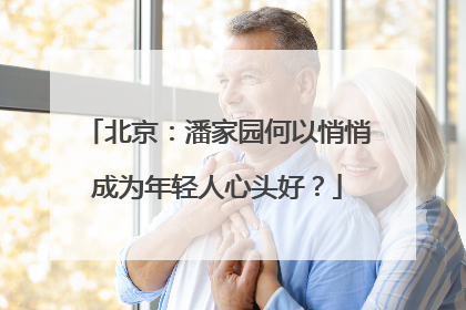 北京：潘家园何以悄悄成为年轻人心头好？