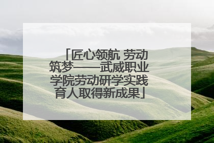 匠心领航 劳动筑梦——武威职业学院劳动研学实践育人取得新成果