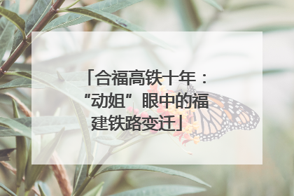 合福高铁十年：“动姐”眼中的福建铁路变迁