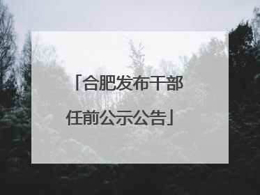 合肥发布干部任前公示公告