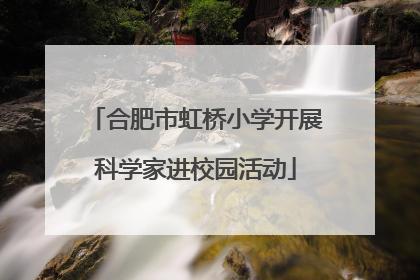 合肥市虹桥小学开展科学家进校园活动