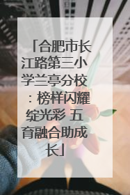 合肥市长江路第三小学兰亭分校：榜样闪耀绽光彩 五育融合助成长