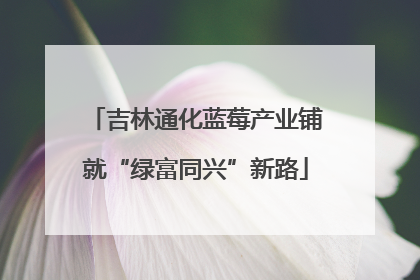 吉林通化蓝莓产业铺就“绿富同兴”新路