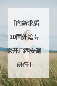 向新求质 10国外籍专家开启西安调研行