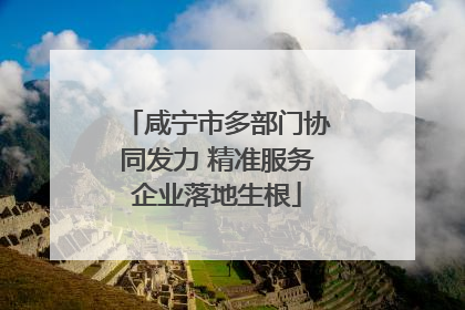 咸宁市多部门协同发力 精准服务企业落地生根