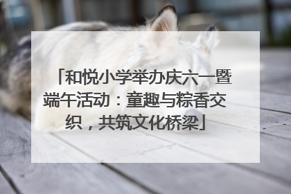 和悦小学举办庆六一暨端午活动：童趣与粽香交织，共筑文化桥梁