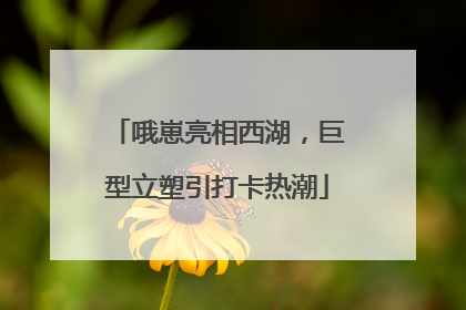 哦崽亮相西湖，巨型立塑引打卡热潮