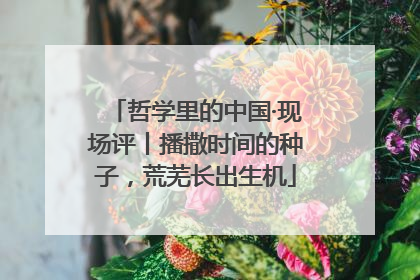 哲学里的中国·现场评丨播撒时间的种子，荒芜长出生机