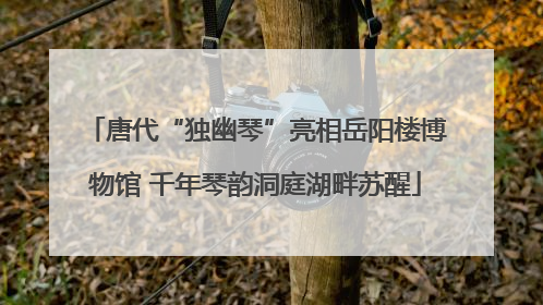 唐代“独幽琴”亮相岳阳楼博物馆 千年琴韵洞庭湖畔苏醒