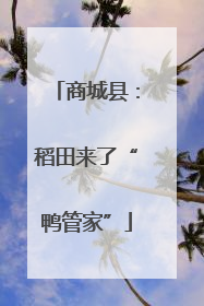 商城县：稻田来了“鸭管家”
