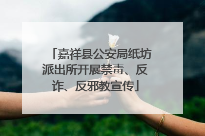 嘉祥县公安局纸坊派出所开展禁毒、反诈、反邪教宣传