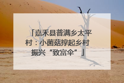 嘉禾县普满乡太平村：小菌菇撑起乡村振兴“致富伞”