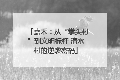 嘉禾：从“拳头村”到文明标杆 清水村的逆袭密码