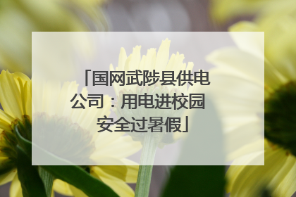 国网武陟县供电公司：用电进校园  安全过暑假