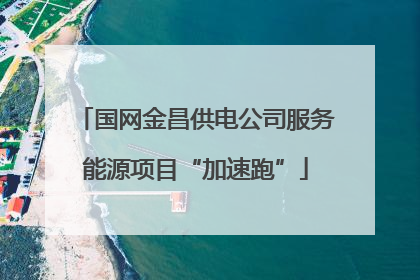 国网金昌供电公司服务能源项目“加速跑”