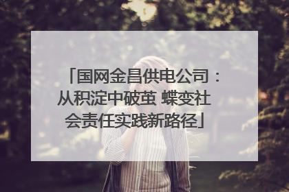 国网金昌供电公司：从积淀中破茧 蝶变社会责任实践新路径