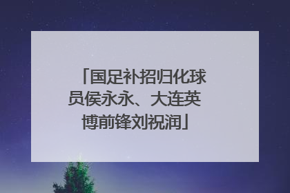 国足补招归化球员侯永永、大连英博前锋刘祝润