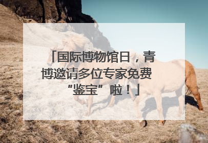 国际博物馆日，青博邀请多位专家免费“鉴宝”啦！